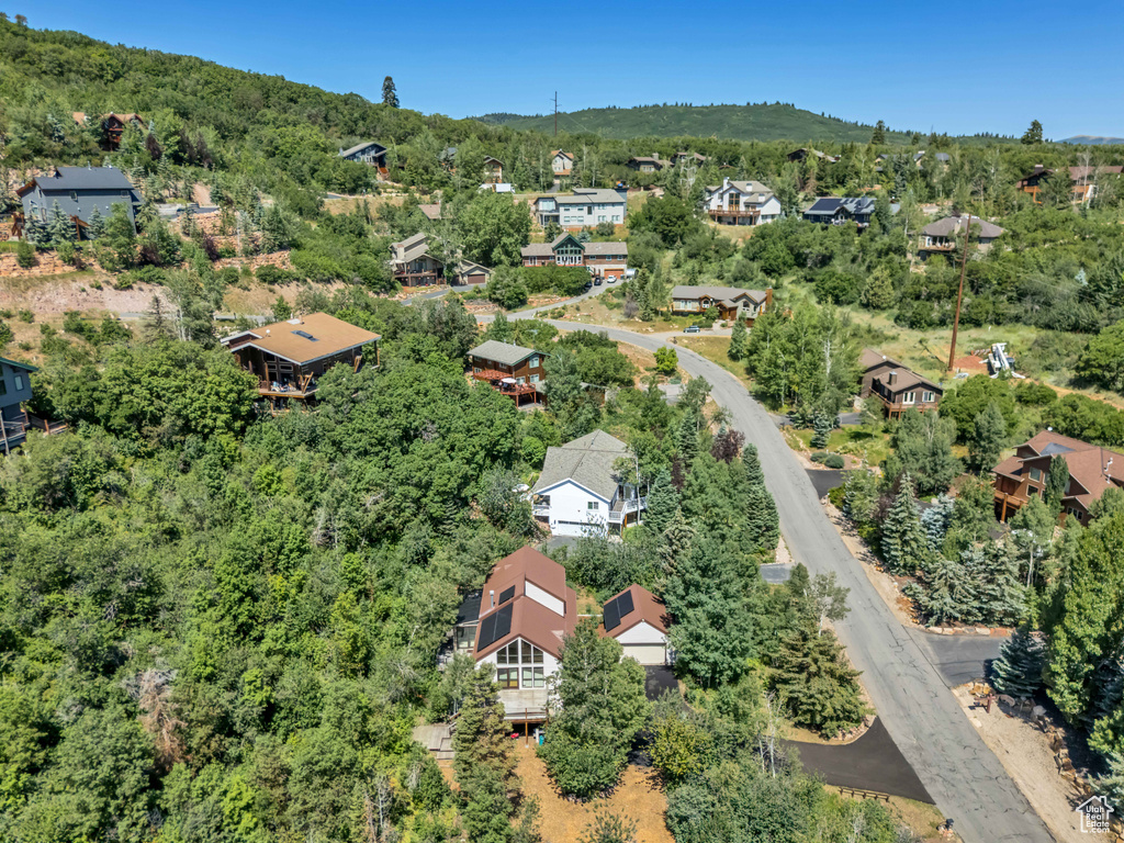 Aerial perspective of suburban area featuring a forest