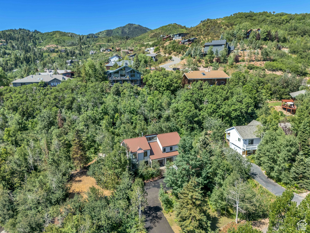 Aerial view of a forest and a mountain backdrop