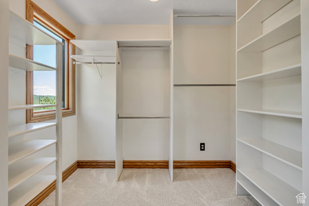 Walk in closet featuring carpet floors