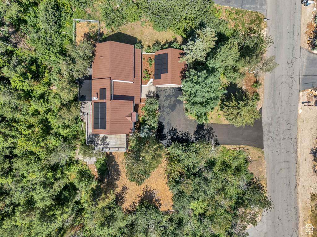 Bird\'s eye view