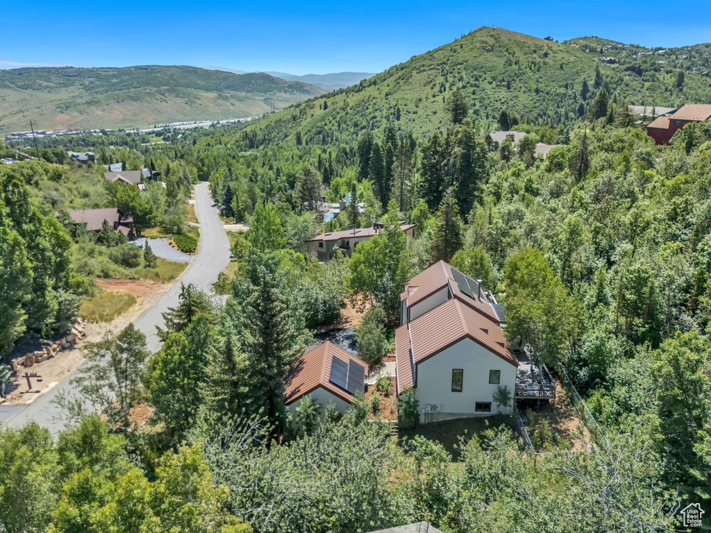 Aerial view of a mountainous background and a heavily wooded area