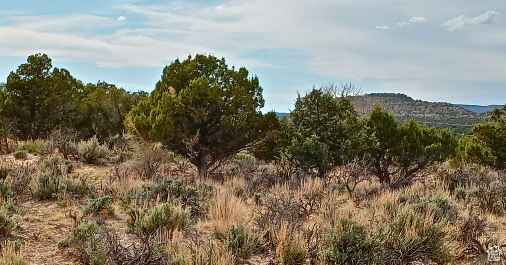  Duchesne, UT 84021