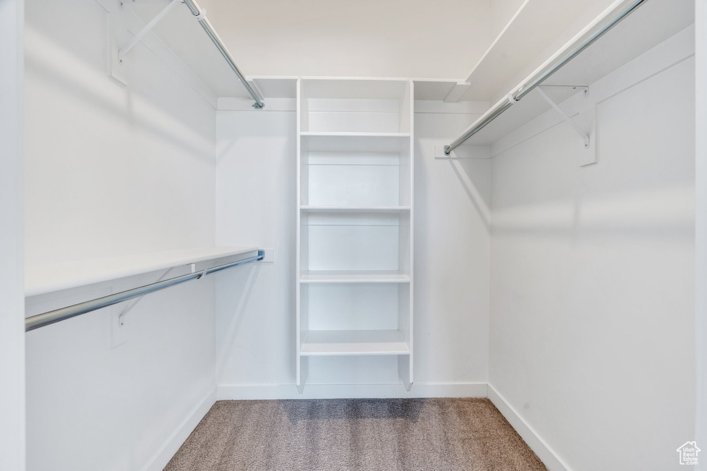 Spacious closet featuring carpet