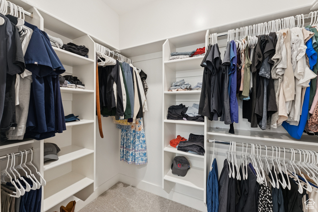 Spacious closet with carpet