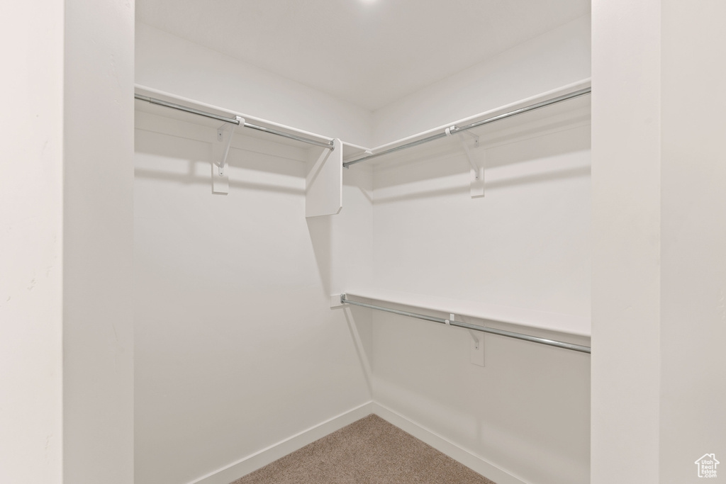 Spacious closet featuring carpet flooring