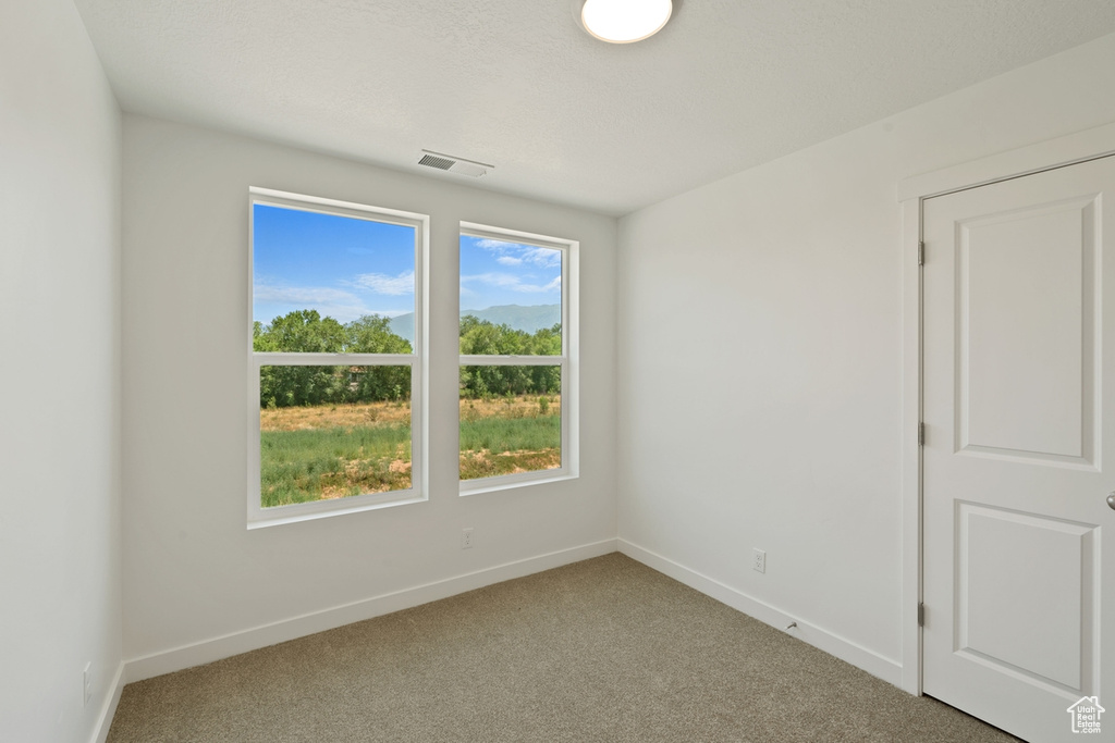 Carpeted spare room with baseboards