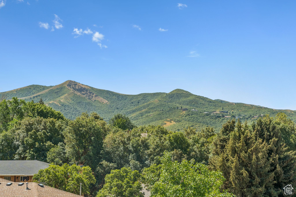 View of mountain background featuring a heavily wooded area