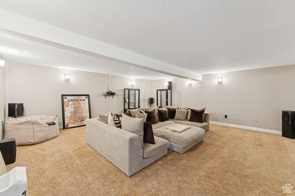 Home theater featuring light colored carpet and a textured ceiling