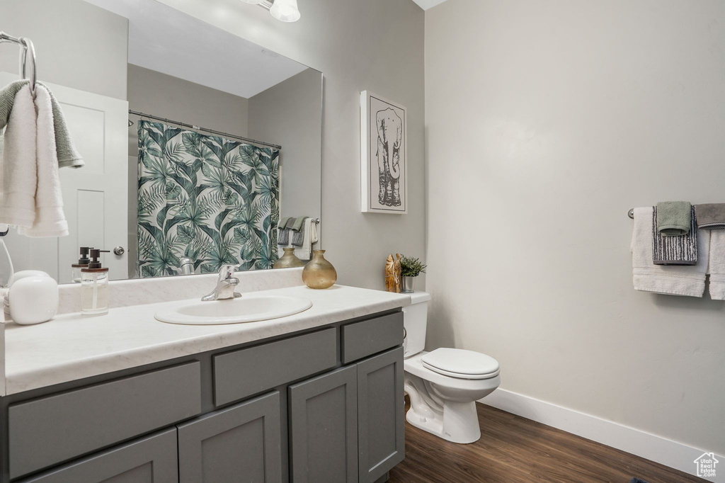 Full bathroom featuring vanity, wood finished floors, and a shower with shower curtain