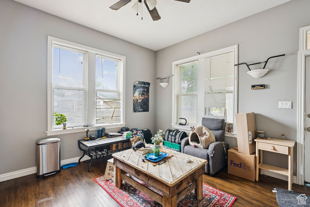 Living room featuring a ceiling fan, hardwood / wood-style floors, and healthy amount of natural light