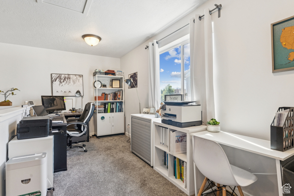 Office area featuring light colored carpet