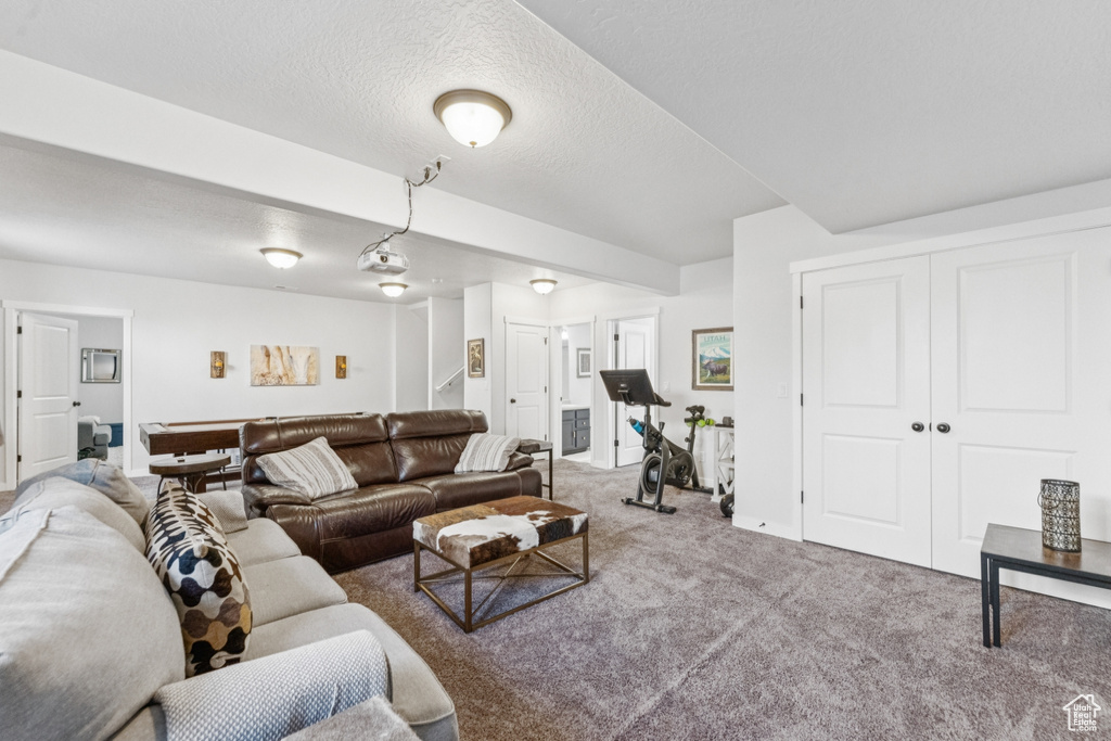 Living area with carpet