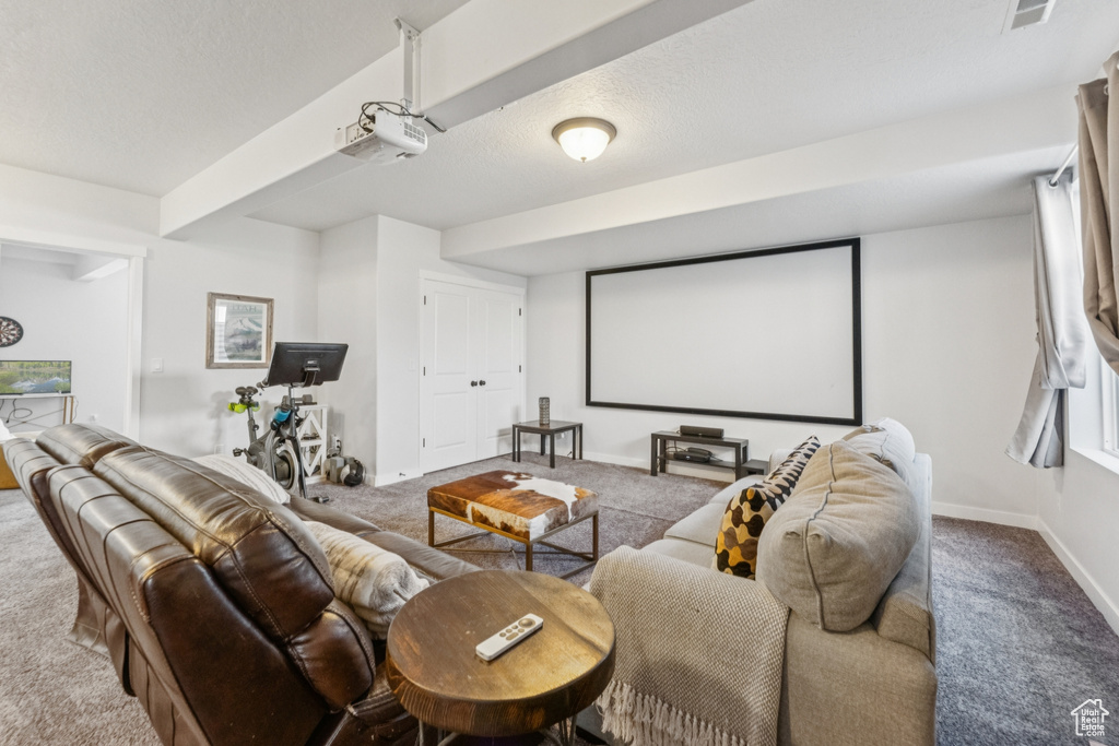 Carpeted cinema with baseboards