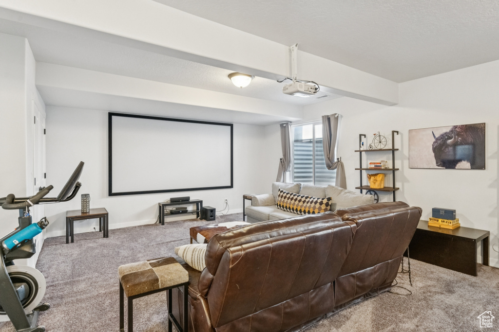 Carpeted home theater room featuring baseboards