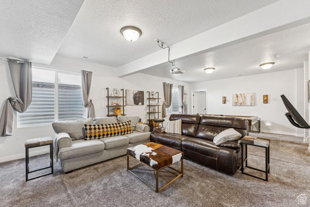 Living area with carpet floors, a textured ceiling, and healthy amount of natural light