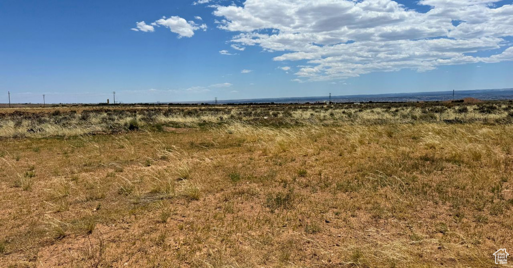 View of local wilderness