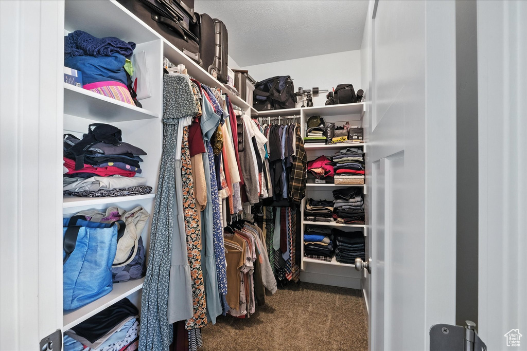 Walk in closet featuring carpet floors
