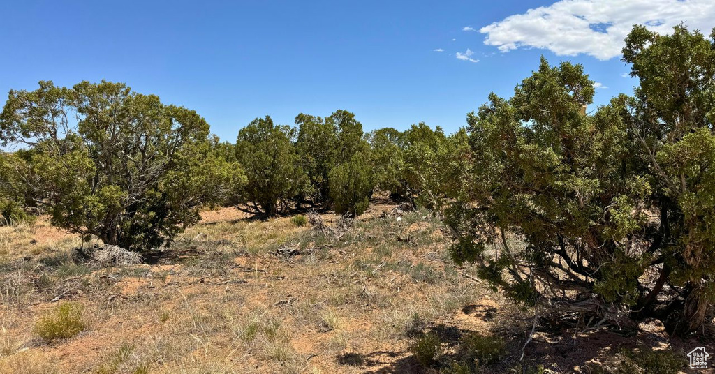  Duchesne, UT 84021
