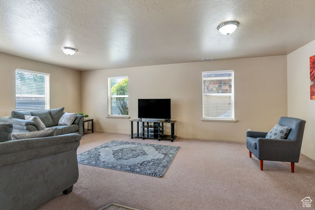 Living room featuring carpet floors, a textured ceiling, and healthy amount of natural light