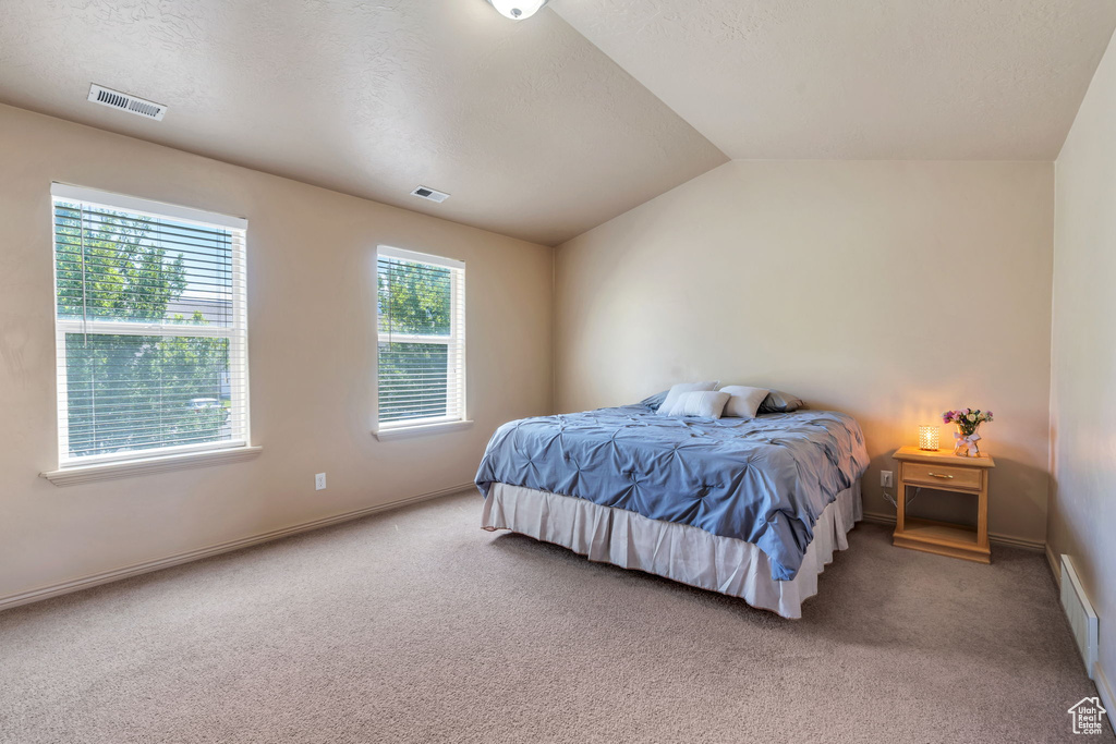 Carpeted bedroom with lofted ceiling and baseboards