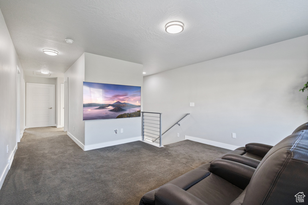 Living room featuring dark carpet