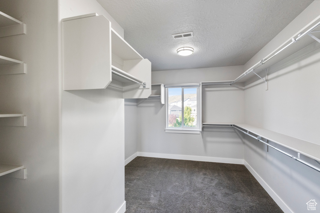 Spacious closet with dark carpet