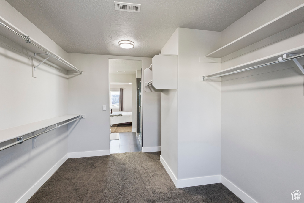 Spacious closet featuring carpet