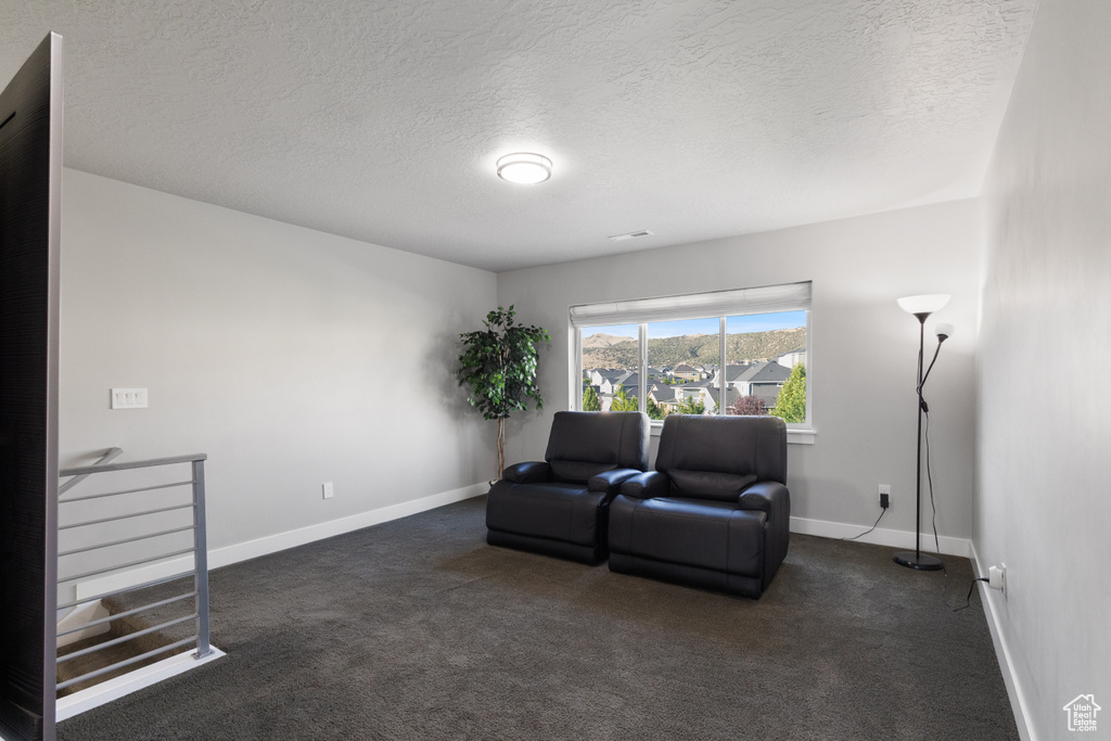 Sitting room featuring a textured ceiling and carpet