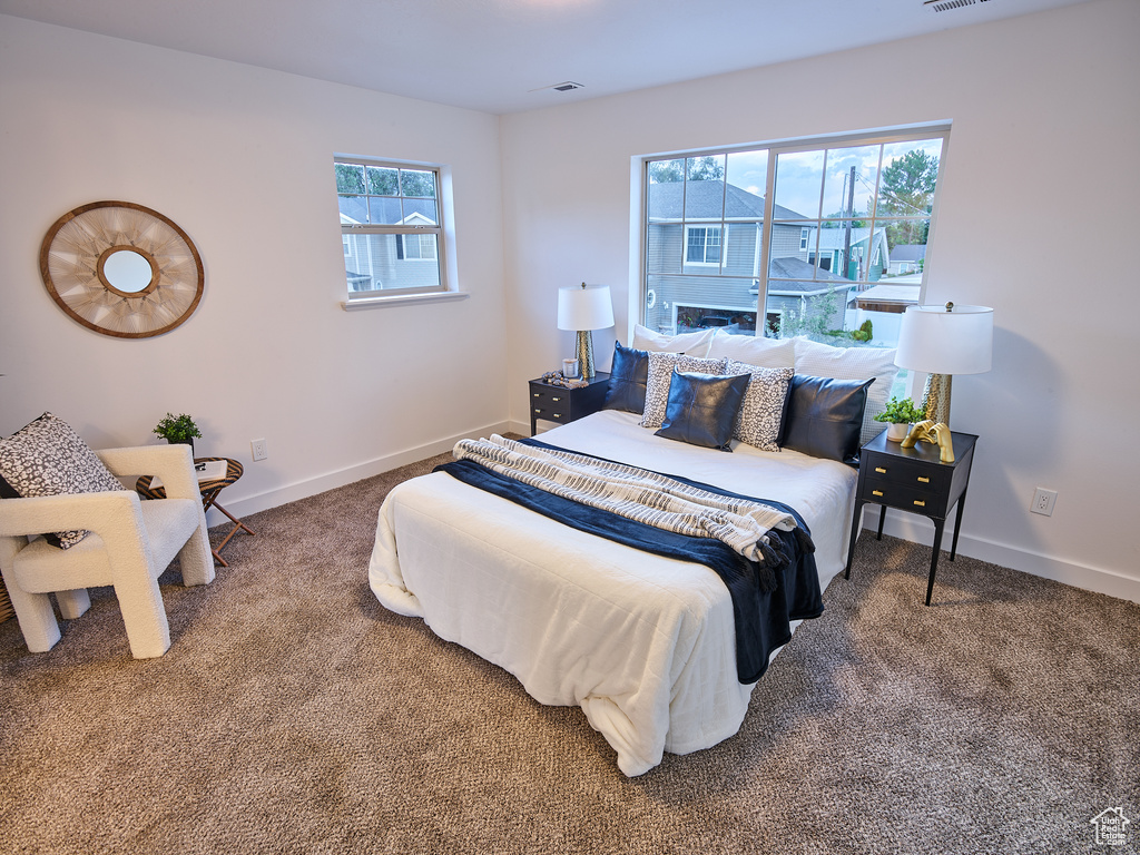 Carpeted bedroom with multiple windows