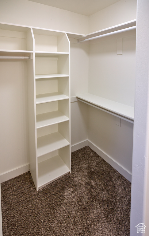 Walk in closet featuring dark carpet
