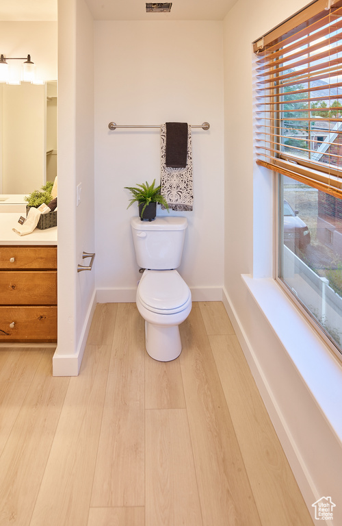 Bathroom with vanity and wood finished floors