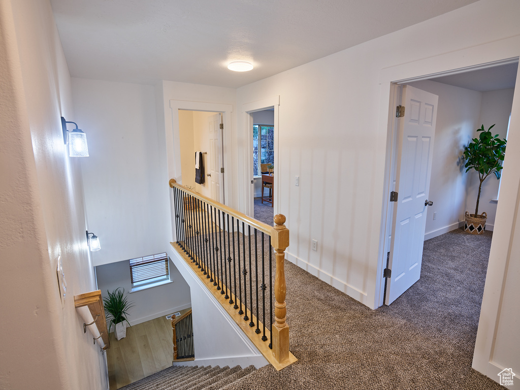Hallway with an upstairs landing and carpet floors