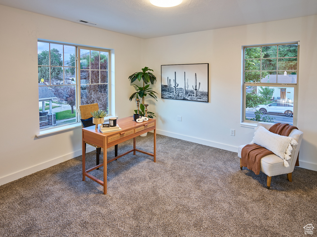 Office space featuring carpet
