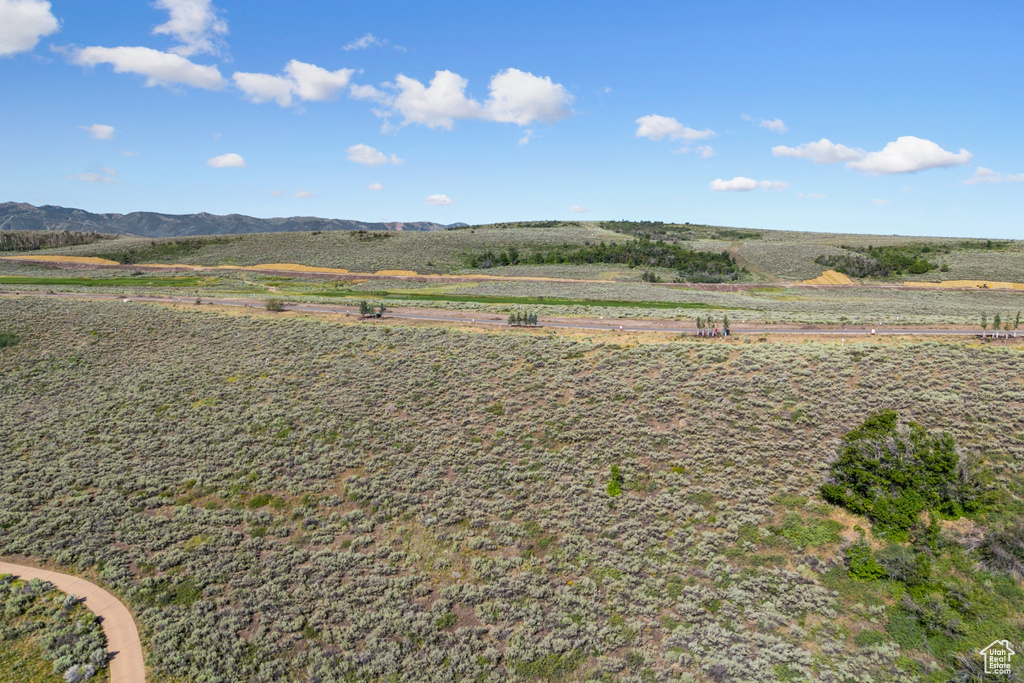 View of yard with a view of rural / pastoral area and a mountain view