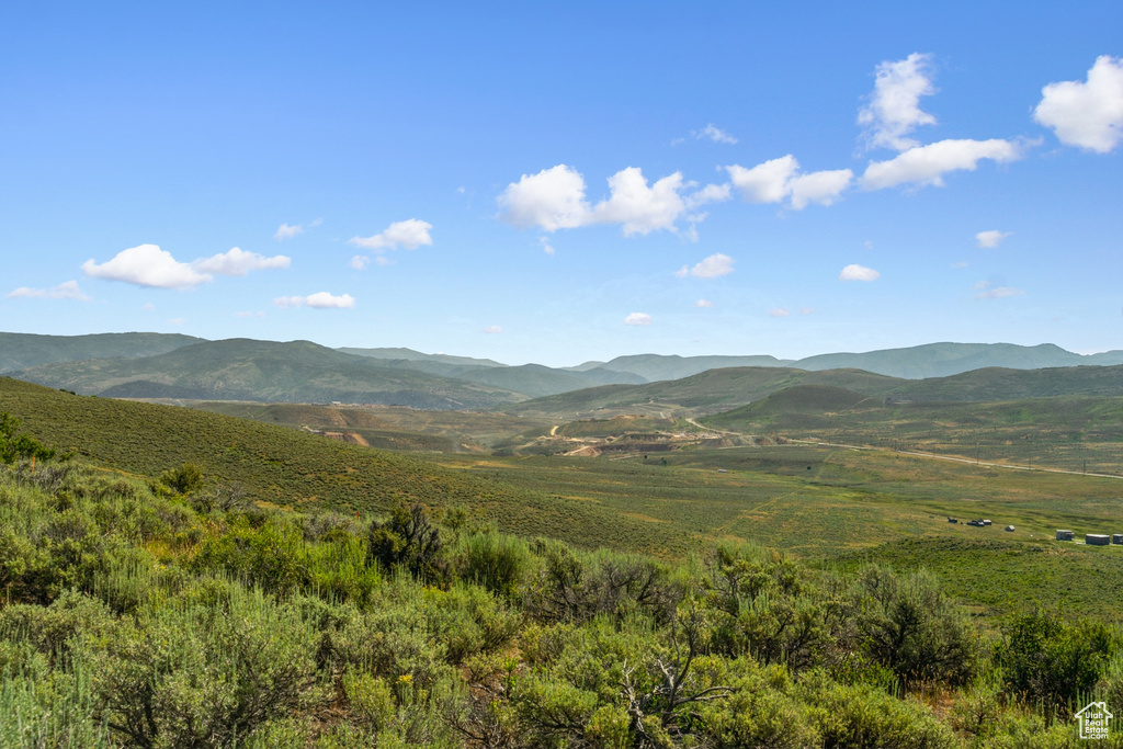Mountain view