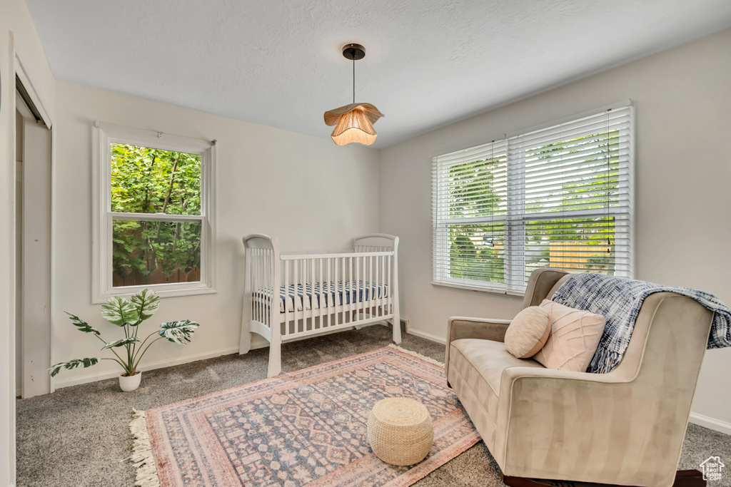 Carpeted bedroom with multiple windows and a crib