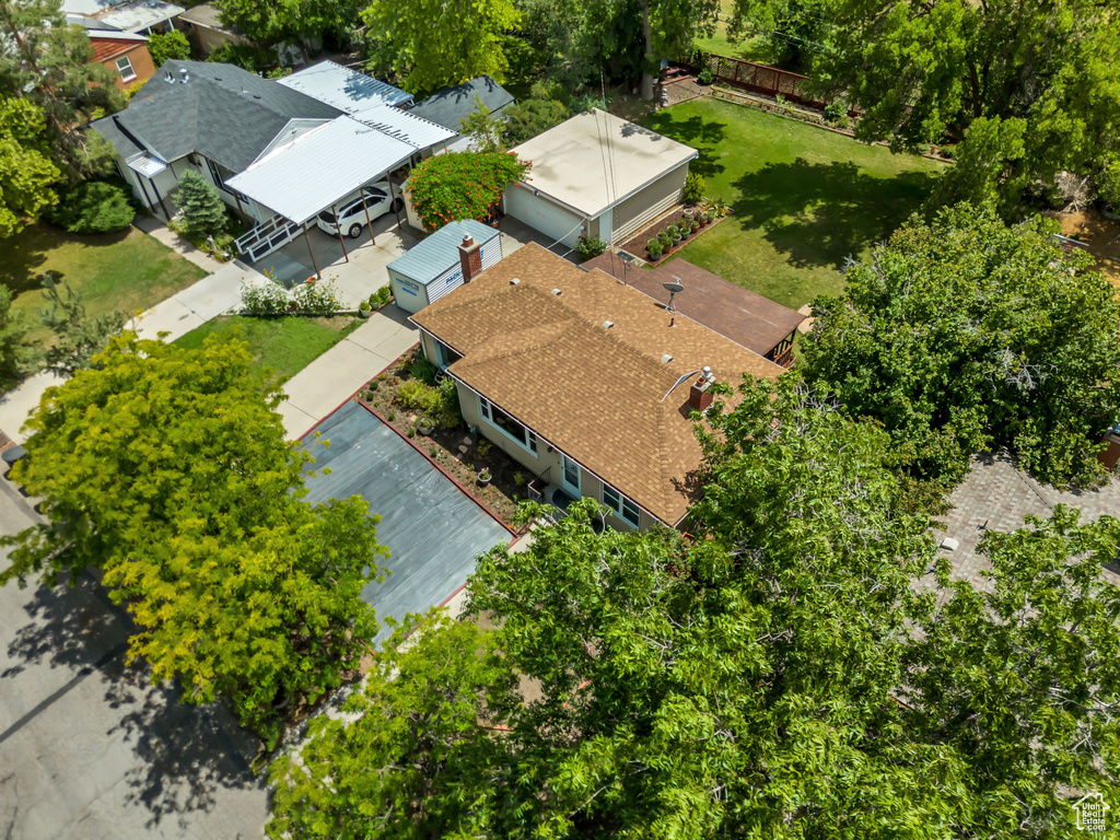 Bird\'s eye view