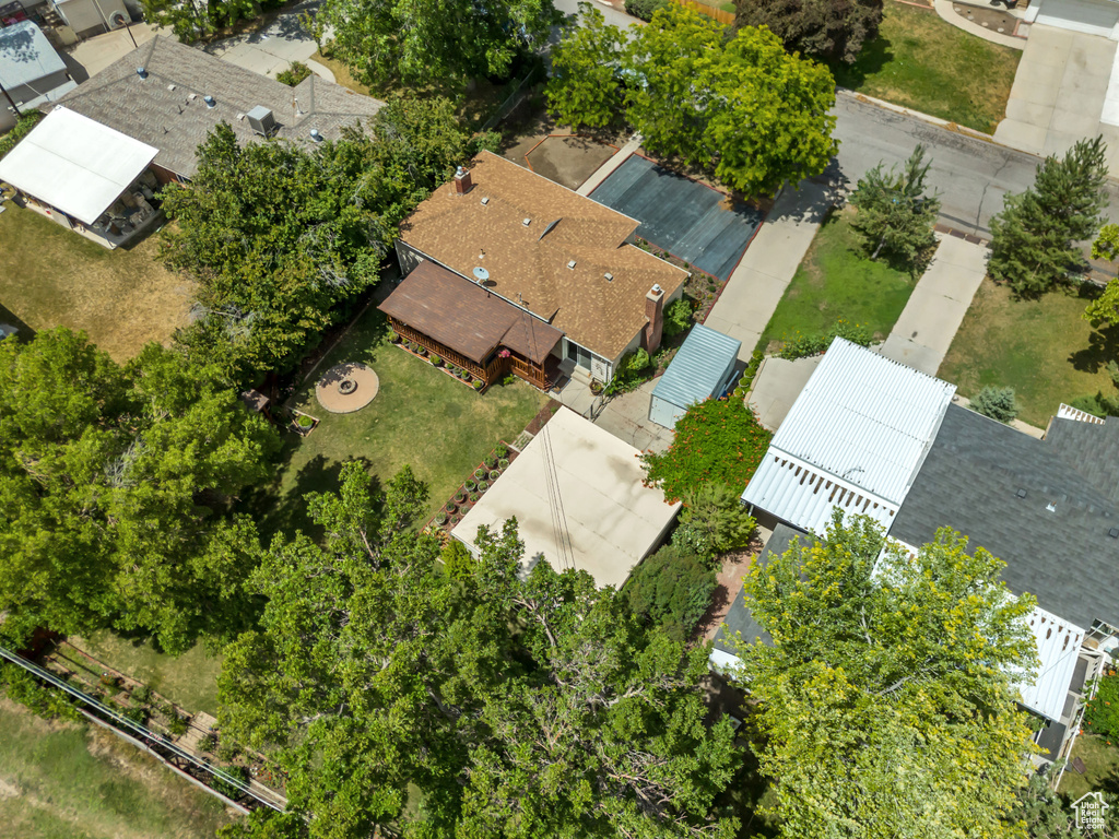 Bird\'s eye view
