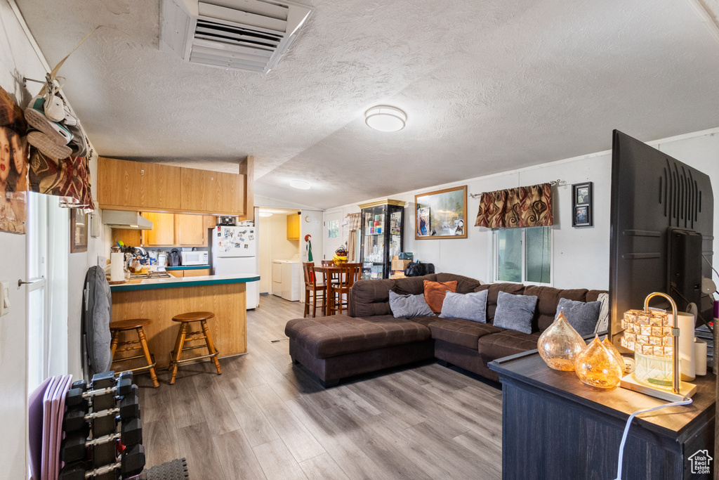 Living room featuring light wood-style floors, vaulted ceiling, and a textured ceiling