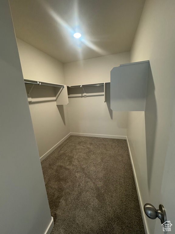 Spacious closet with carpet flooring