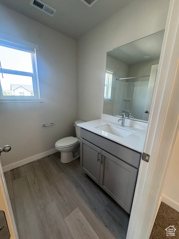 Bathroom featuring vanity, healthy amount of natural light, wood finished floors, and a shower