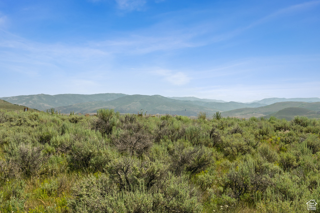 Mountain view