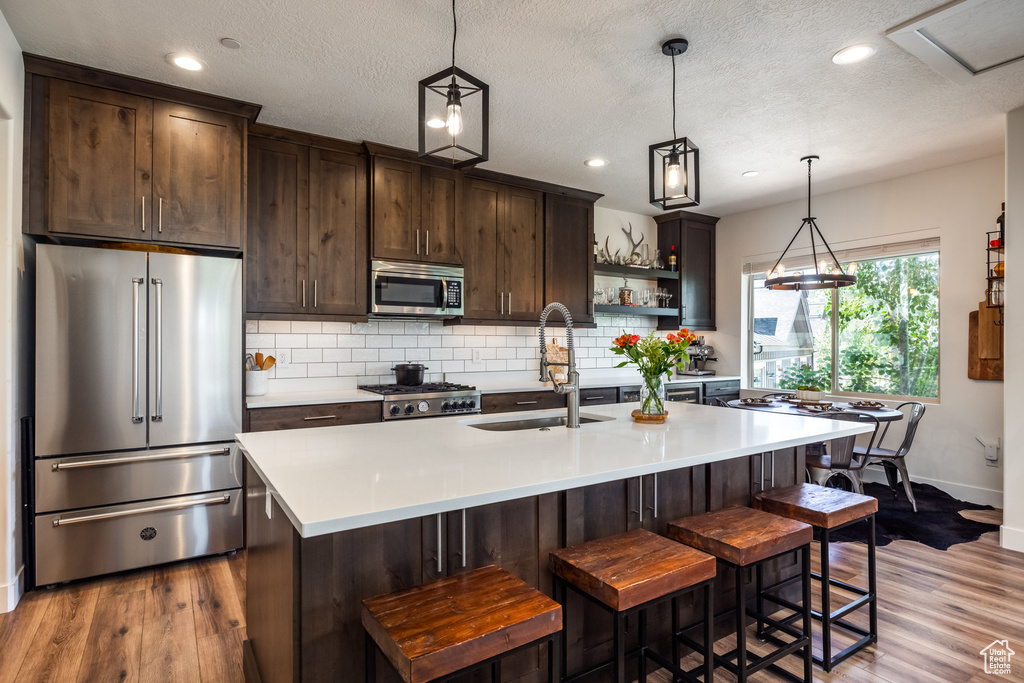 Kitchen featuring appliances with stainless steel finishes, dark brown cabinetry, open shelves, wood finished floors, and recessed lighting