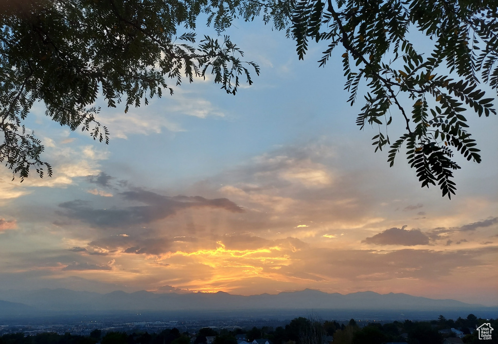 12018 S BLUFF VIEW DR Sandy, UT 84092