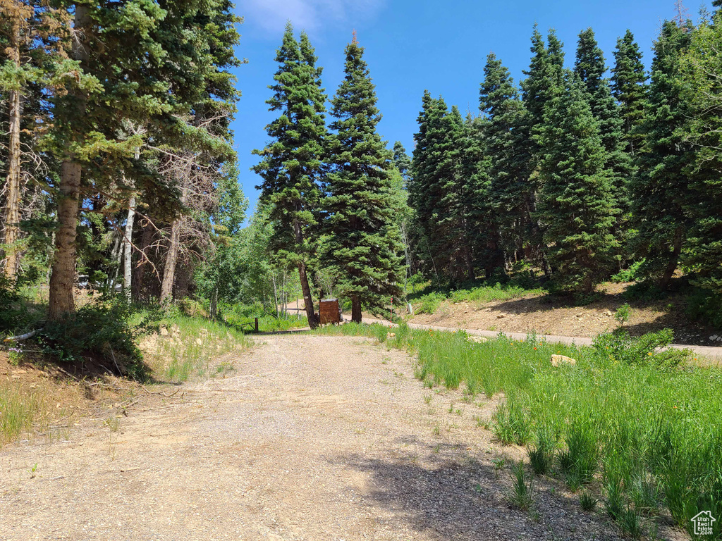 View of road with a wooded view