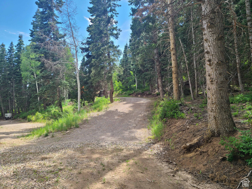 View of street with a view of trees
