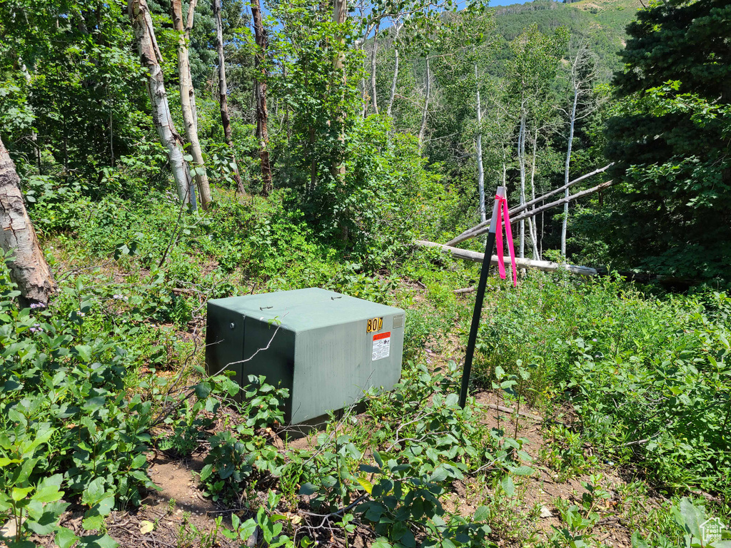 View of yard featuring a wooded view