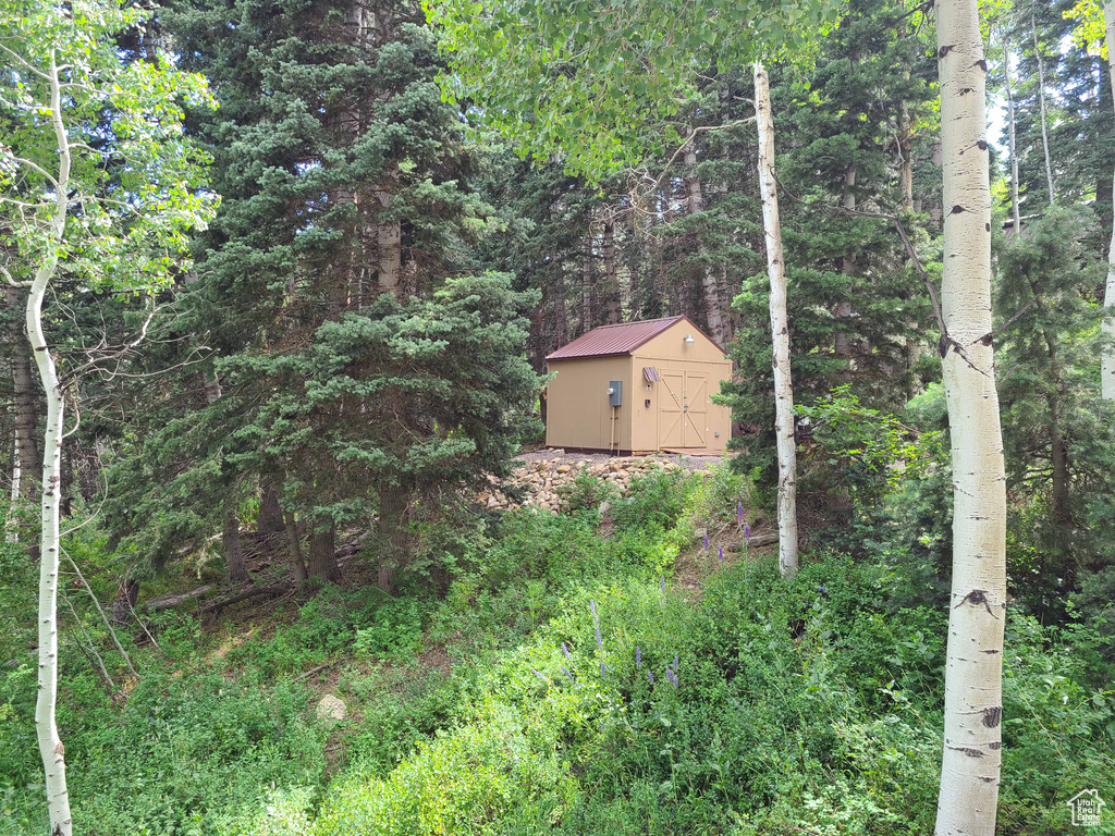 View of yard with a storage shed and a forest view