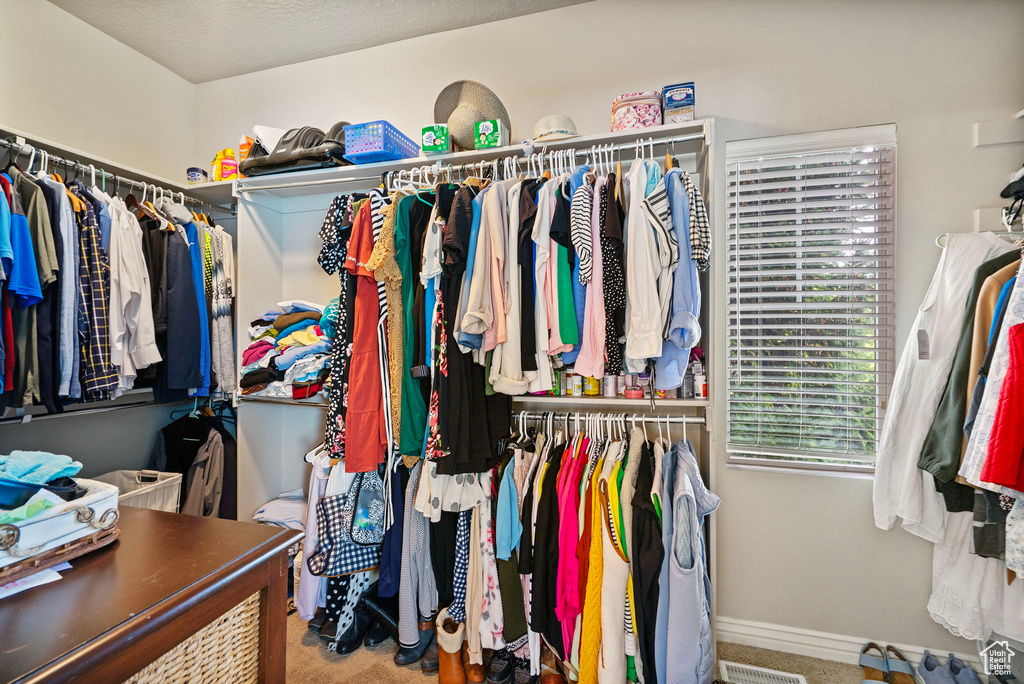 Spacious closet with carpet