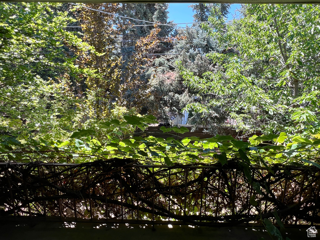 View of nature
